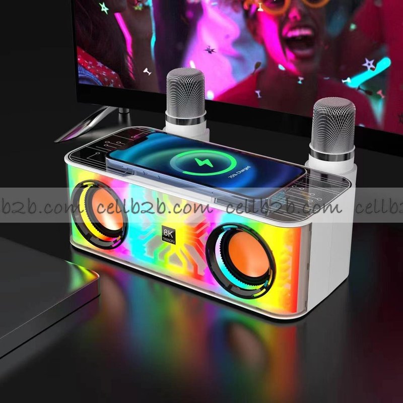 HM-A9PRO Altavoz Bluetooth con 2 Mini Micrófono y Cargador Inalámbrico