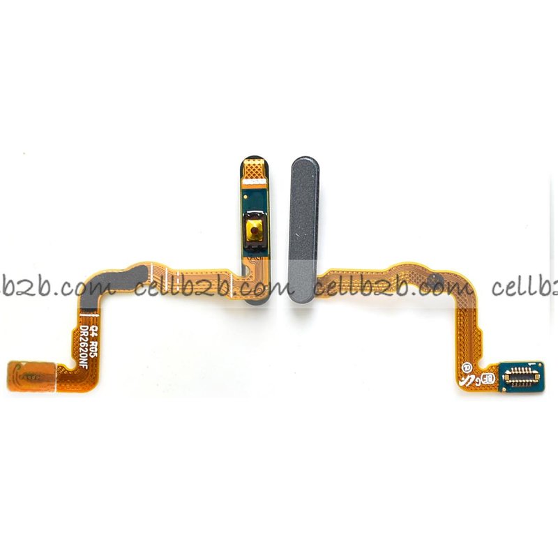 Flex Lector de Huella para Samsung Z Fold 4 5G F936B Gris