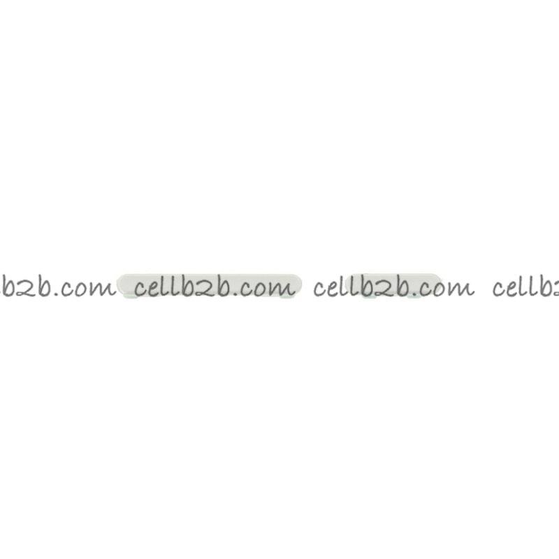 Botones Laterales para Samsung A36 5G A366B Lima