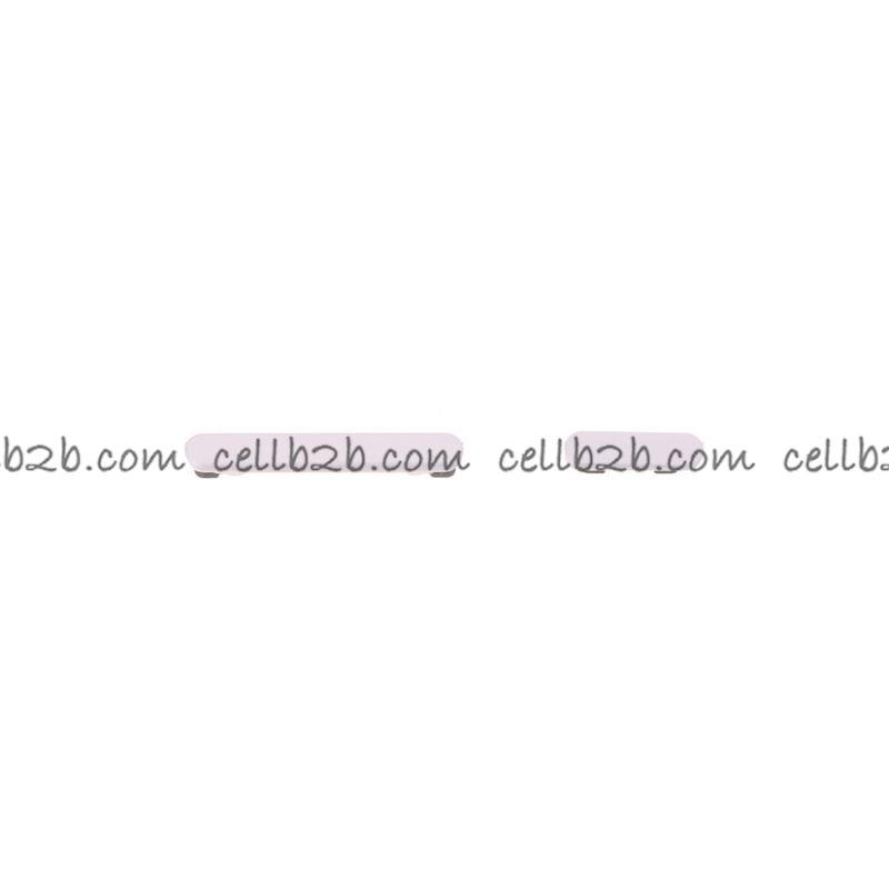 Botones Laterales para Samsung A55 5G A556B Lavanda