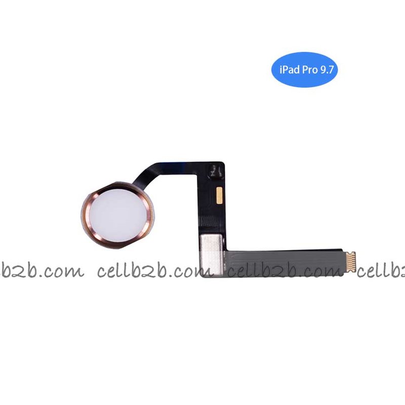 Cable Flex Con Lector de Huella para iPad Pro 9.7 A1673 A1674 A1675 Rosado