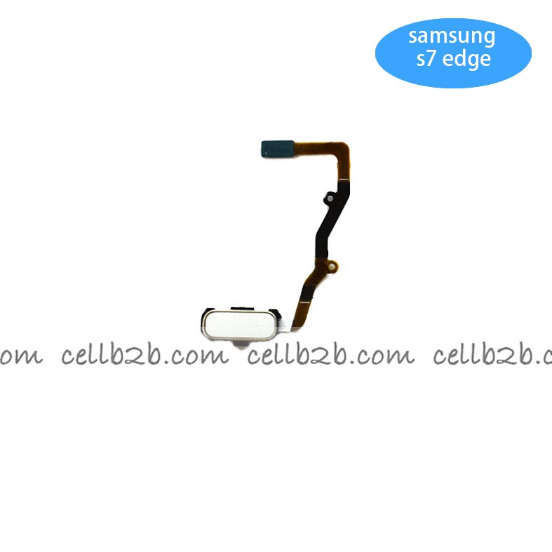Cable Flex del Botón Home para Samsung SM-G935 GALAXY S7 Edge Blanco