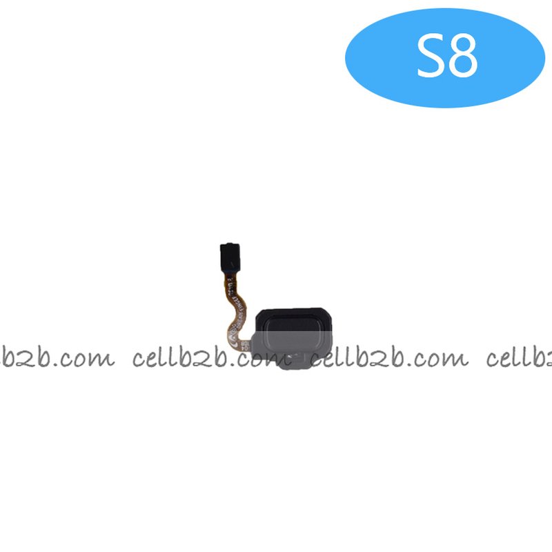 Cable Flex del Botón Home para Samsung SM-G950 GALAXY S8/SM-G955 GALAXY S8 Plus Gris