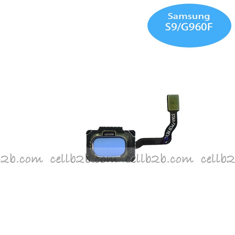Flex del Botón Home para S9 Plus/S9 Azul