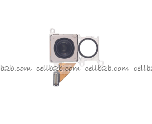 Cámara Trasera para Google Pixel 9 Pro 5G