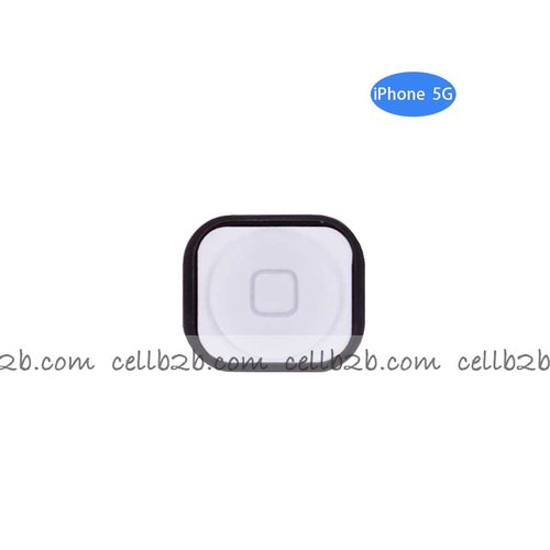 Cable Flex del Botón Home para iPhone 5G Blanco