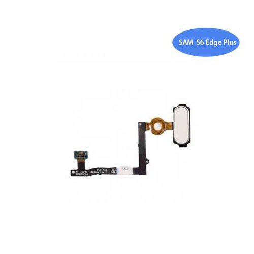 Cable Flex del Botón Home para Samsung SM-G928 GALAXY S6 EDGE Plus Blanco