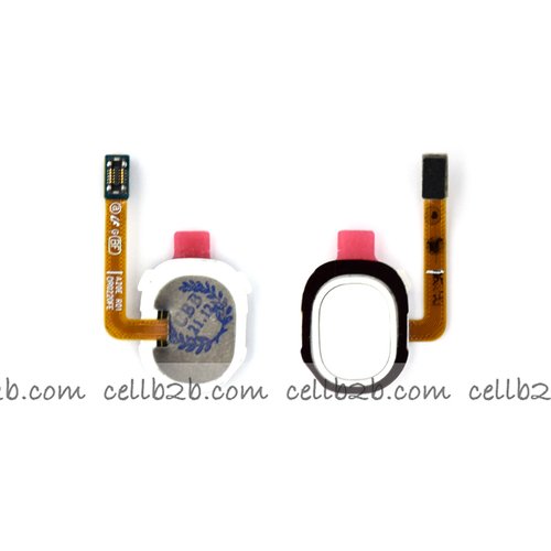 Flex con Lector de Huella para Samsung A20E A202 Blanco