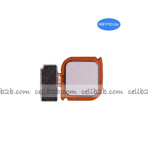 Flex del Botón Home para Huawei P10 Lite Dorado
