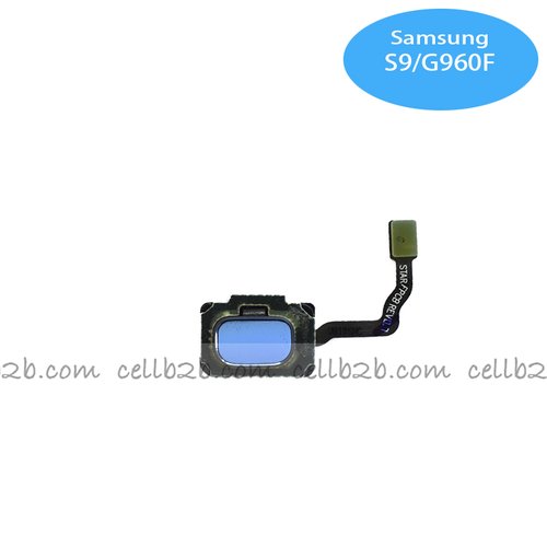 Flex del Botón Home para S9 Plus/S9 Azul