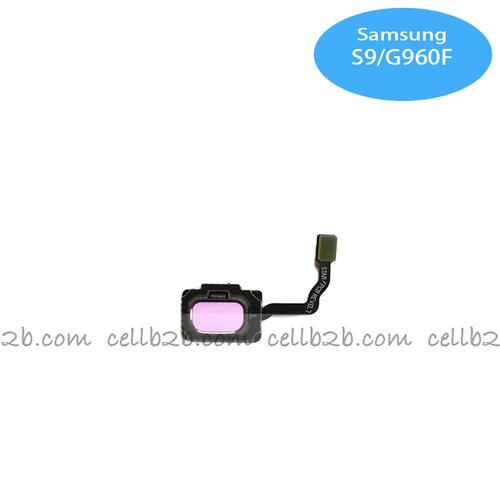 Flex del Botón Home para S9 Plus/S9 Lila