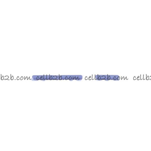 Botones Laterales Para Motorola Moto G85 5G (XT2724-3) Azul