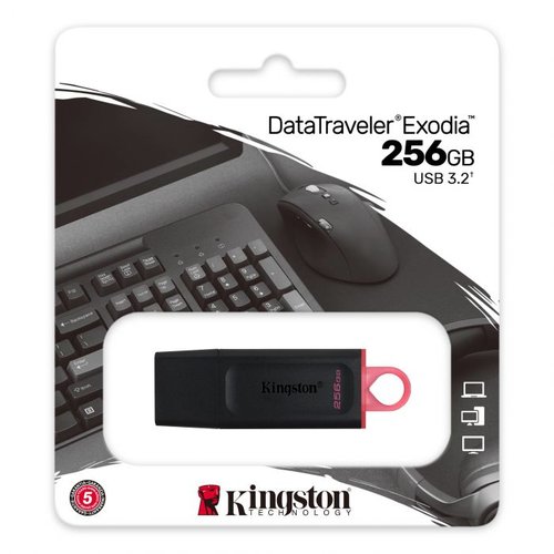 *Kingston Pendrive 256GB Memoria USB Date Traveler