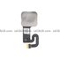 Flex Lector de Huella Interno para Google Pixel 8 5G - 1